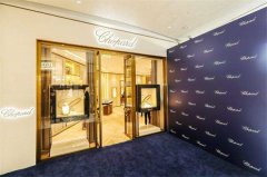 萧邦走走停停解决方法盘点